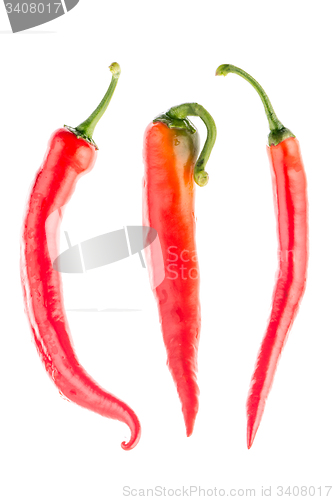 Image of Red chilli peppers