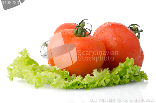 Image of Red tomatoes