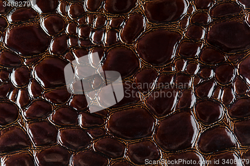 Image of Brown snake skin background 