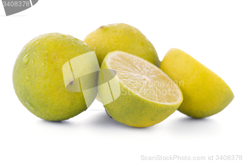 Image of Fresh green limes