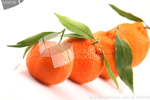 Image of closeup mandarin raw
