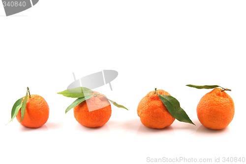 Image of copy space mandarins