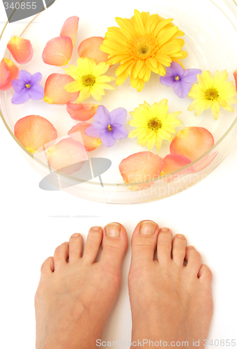 Image of Feet and flowers