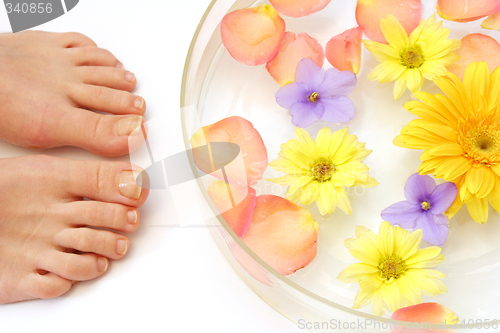 Image of Feet and flowers