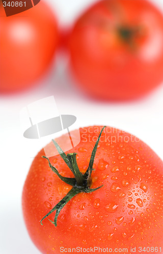 Image of Tomatoes