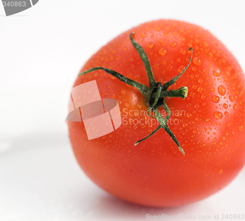 Image of tomato