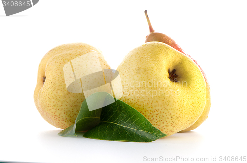 Image of Three ripe pears