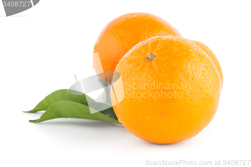 Image of Ripe tangerine or mandarin