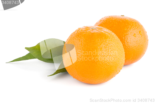 Image of Ripe tangerine or mandarin