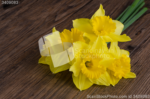 Image of Jonquil flowers