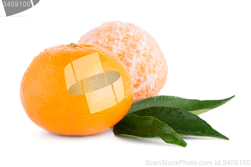 Image of Ripe tangerine or mandarin