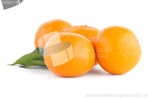 Image of Ripe tangerine or mandarin