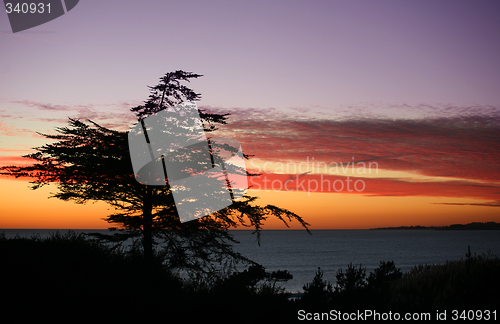 Image of Beach at sunset