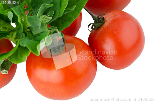 Image of Red ripe tomato