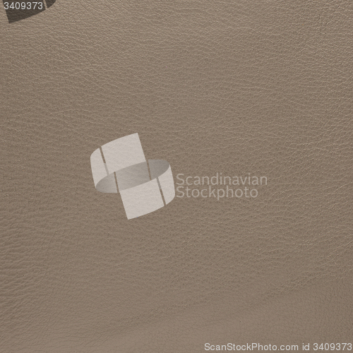 Image of Beige leather