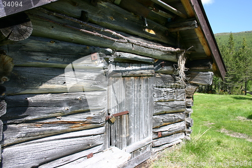 Image of Old Norwegian Wood