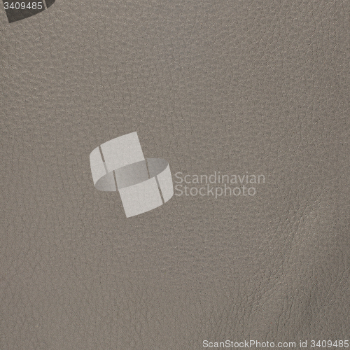 Image of Beige leather