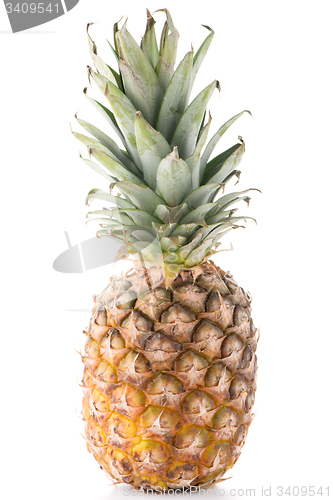 Image of Pineapple