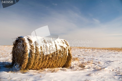 Image of Frosted Hay Bale