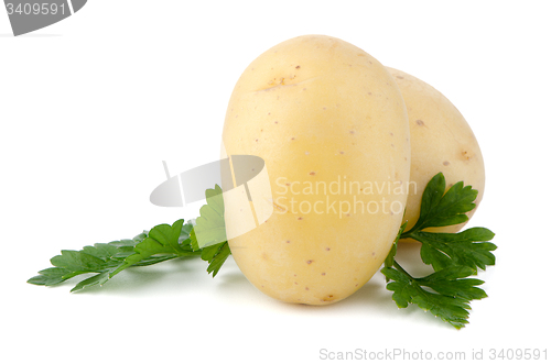 Image of New potatoes and green parsley