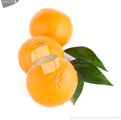 Image of Ripe tangerine or mandarin