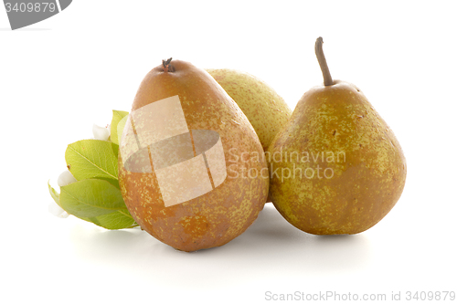 Image of Three ripe pears
