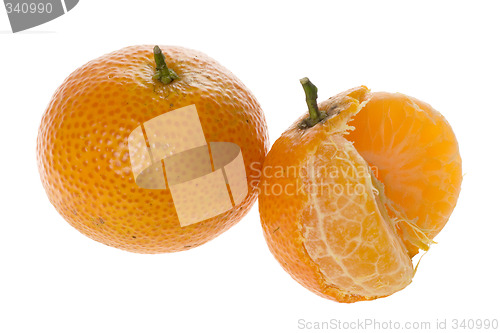 Image of Mandarin orange

