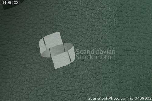 Image of Green leather texture closeup