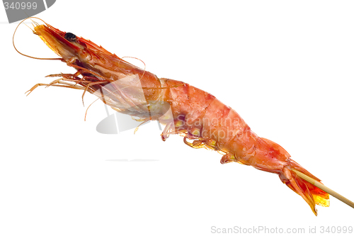 Image of Grilled tiger prawn on a skewer

