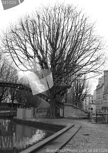 Image of Paris - tree on the Saint Martin Channel Quay