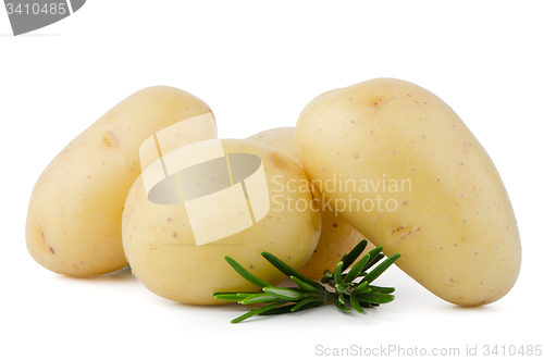 Image of New potatoes and green herbs