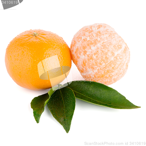 Image of Ripe tangerine or mandarin