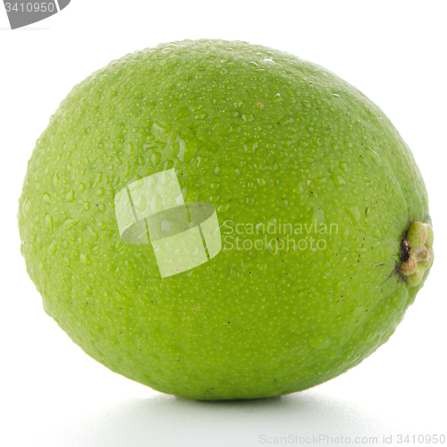 Image of Fresh green lime