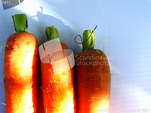 Image of carrots