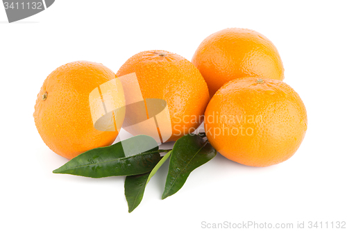 Image of Ripe tangerine or mandarin