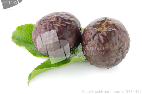Image of Fresh passion fruit