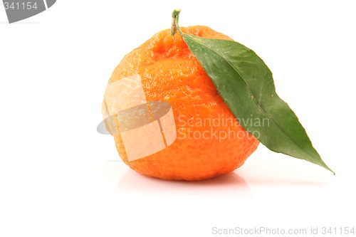 Image of mandarin isolated