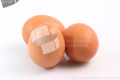 Image of three brown eggs