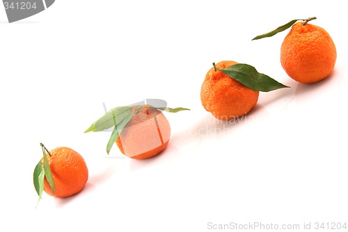 Image of mandarins with copy space