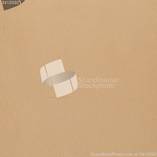 Image of Beige leather