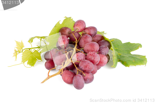 Image of Bunch of red grapes