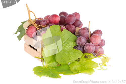 Image of Bunch of red grapes