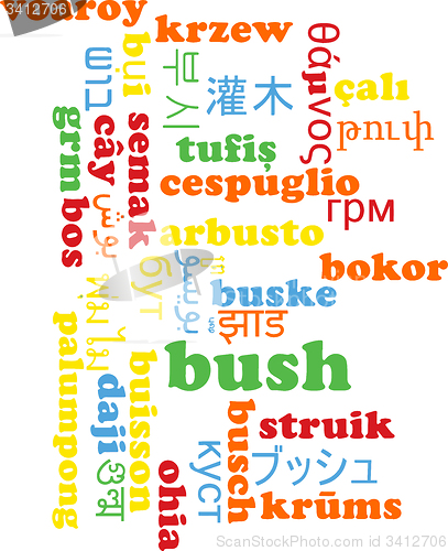 Image of Bush multilanguage wordcloud background concept