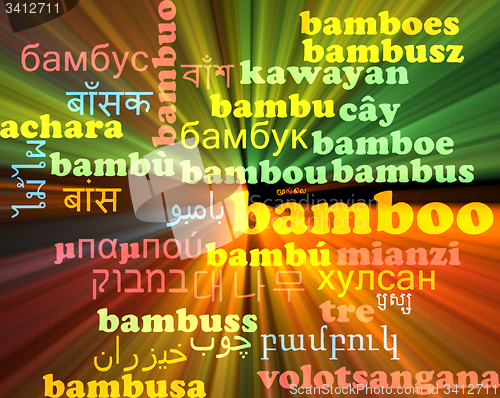 Image of Bamboo multilanguage wordcloud background concept glowing
