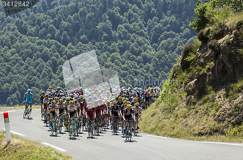 Image of The Peloton on Col d'Aspin - Tour de France 2015