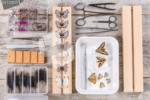 Image of Butterflies and tools