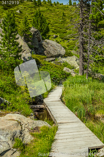 Image of Wooden tourist path