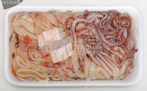 Image of Frozen Squids