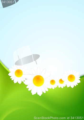 Image of Summer background with green waves and camomiles