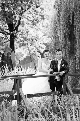 Image of Bride and groom posing in nature bw